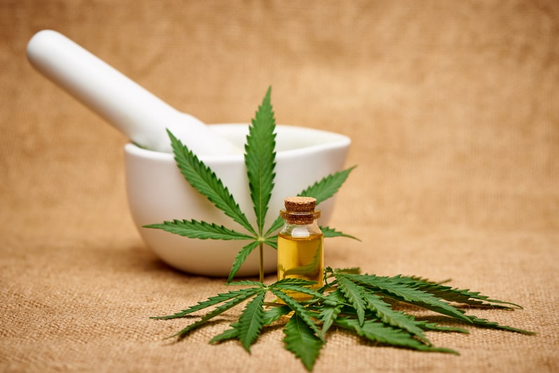 esclerose lateral amiotrofica cannabis