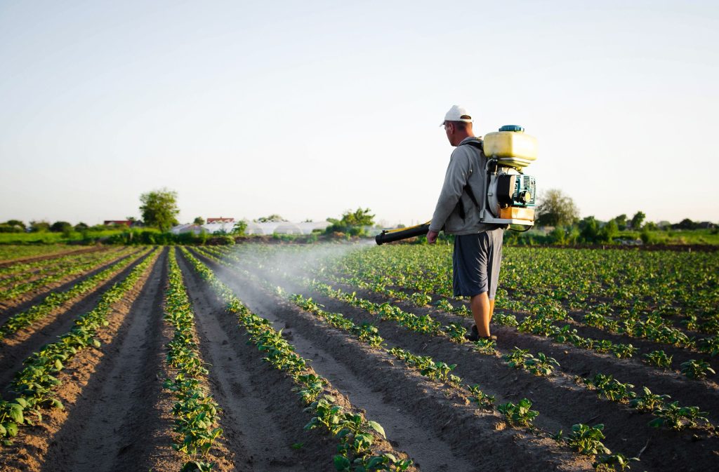 Cannabis pode ser solução para agricultura sem veneno