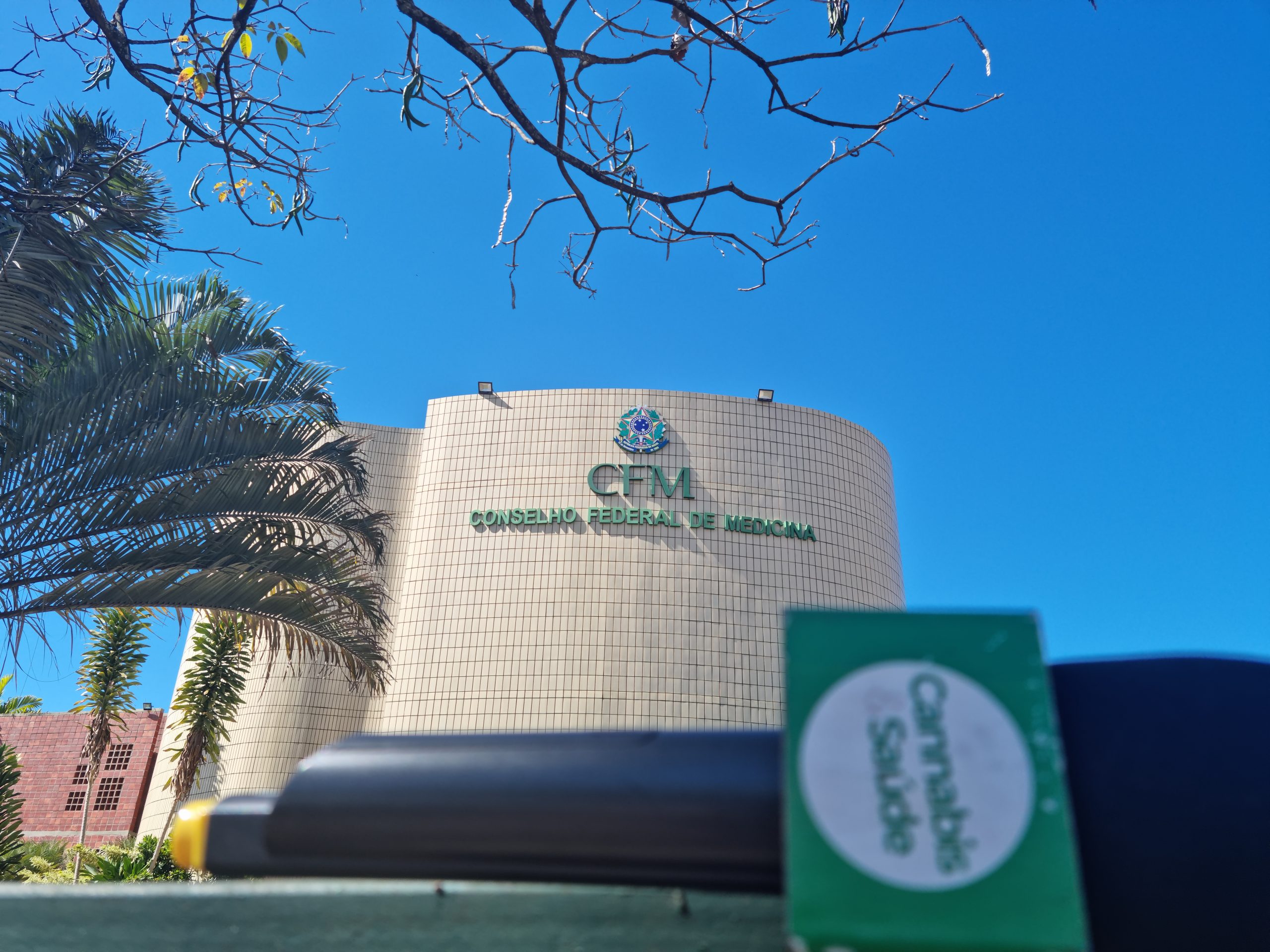 CFM reconhece canabidiol (CBD) para tratar epilepsia