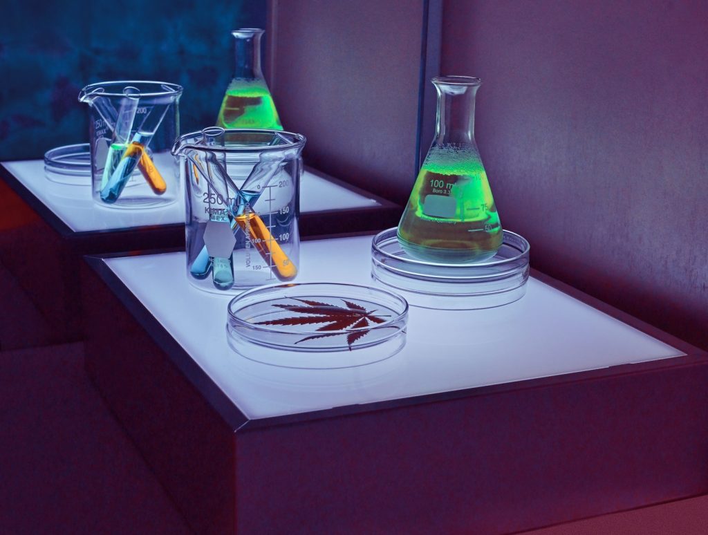 Dr. Raphael Mechoulam recomendou publicação de artigo de brasileiros sobre Alzheimer, Parkinson e esclerose múltipla