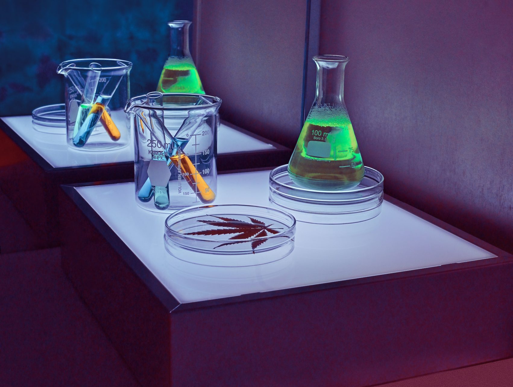 Dr. Raphael Mechoulam recomendou publicação de artigo de brasileiros sobre Alzheimer, Parkinson e esclerose múltipla