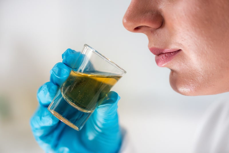 hidrodestilacao oleo de canabidiol