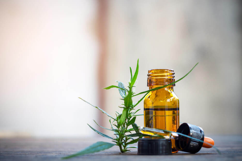 homeostase quais sao beneficios do canabidiol CBD na regulacao