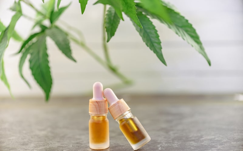 lupus cannabis