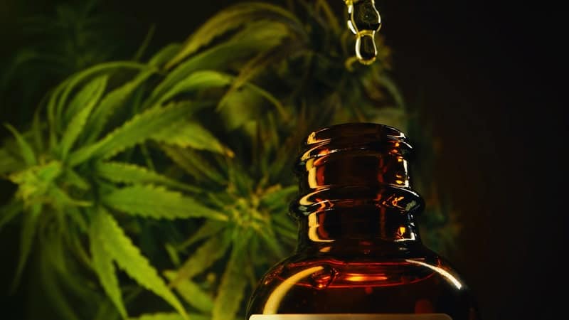 medicamento a base de canabidiol conta gotas