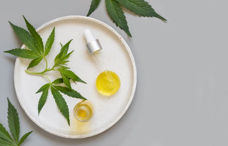 medicamento a base de canabidiol remedio