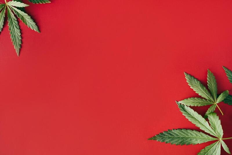 medicina da dor planta