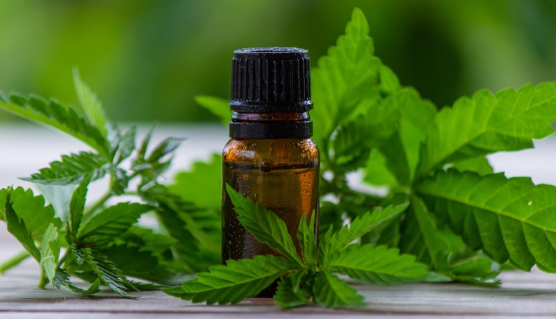 neurologista canabidiol frasco de cbd