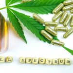 óleo de cannabis extração full spectrum beneficios para saude