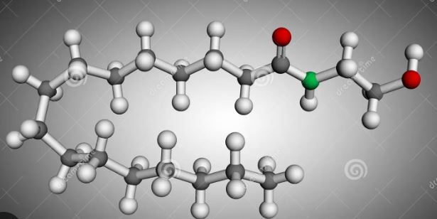 Palmitoiletanolamida (PEA)