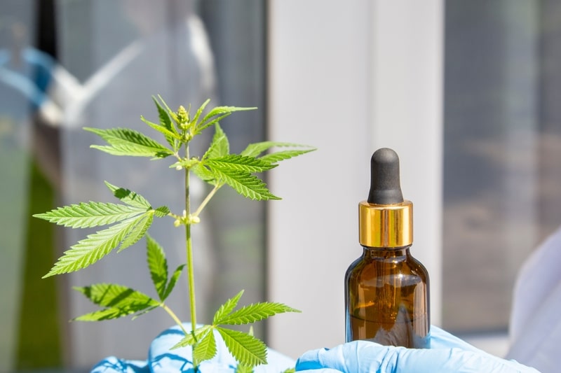 para que serve a ritalina cannabis