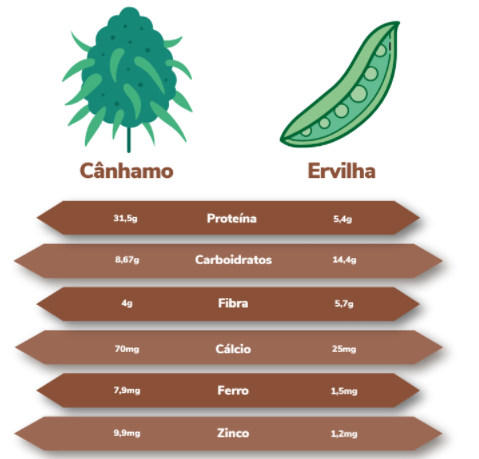hoje-lancamento-relatorio-canhamo-no-brasil