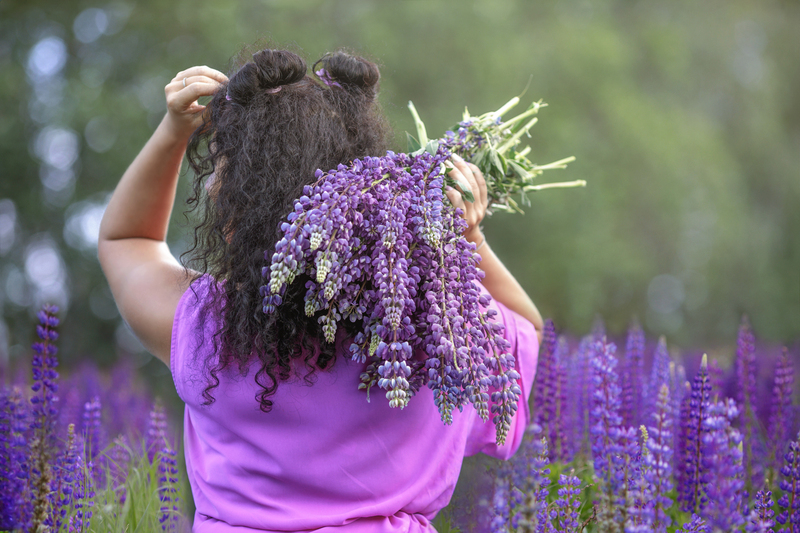 plantas medicinais lavanda
