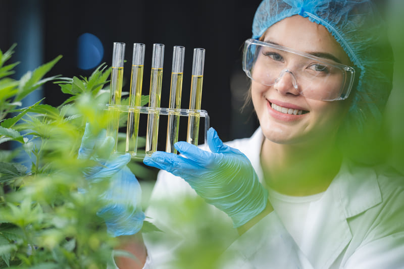 principais doenças vasculares