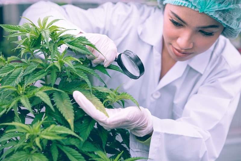 qualidade do produto pesquisa