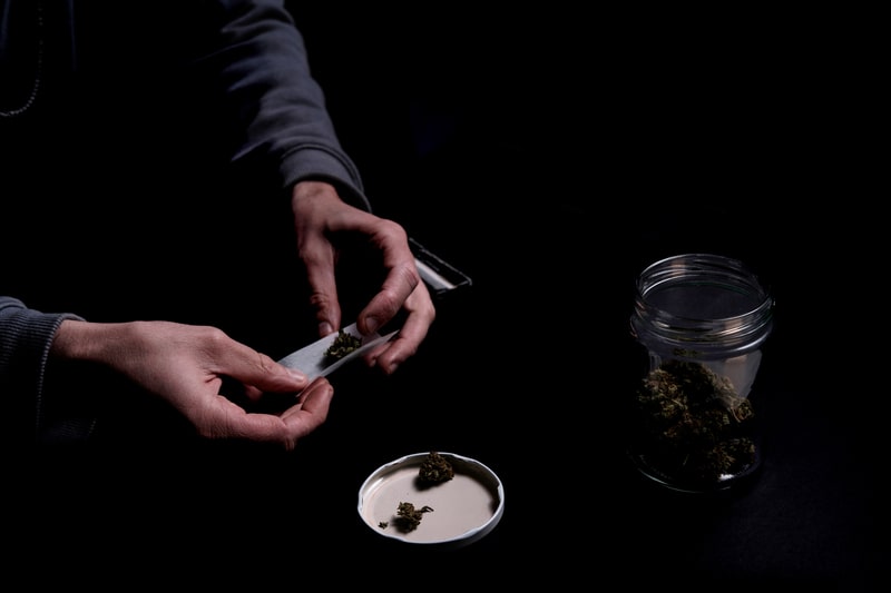 reducao de danos uso da cannabis