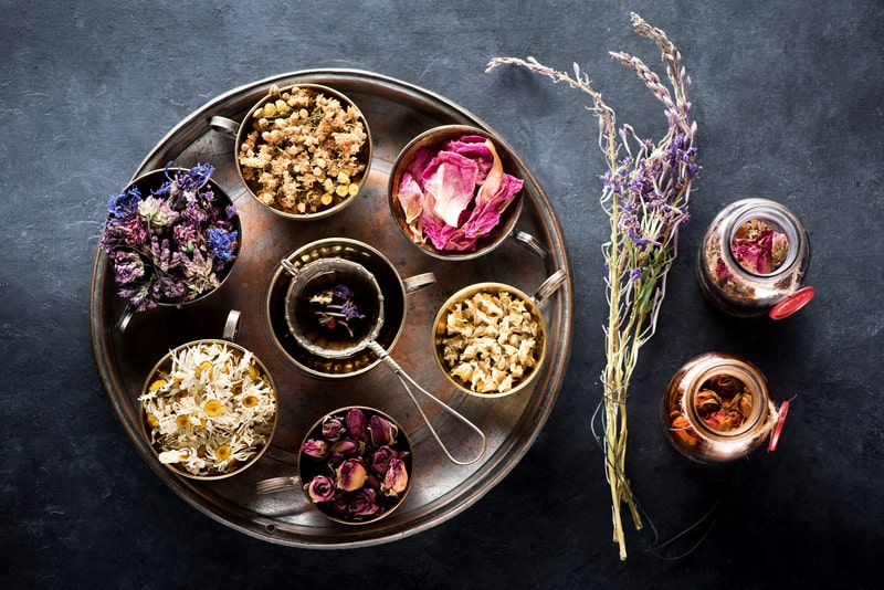 remedio fitoterapico ansiedade folhagens