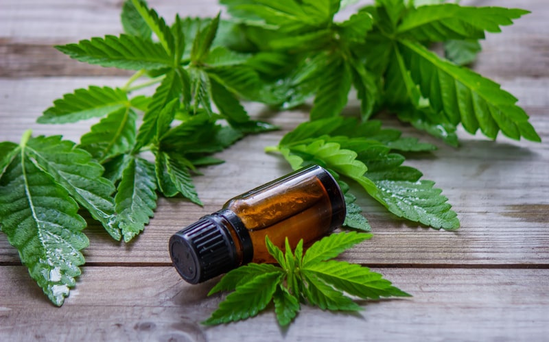 sindrome de lennox gastaut cannabis medicinal