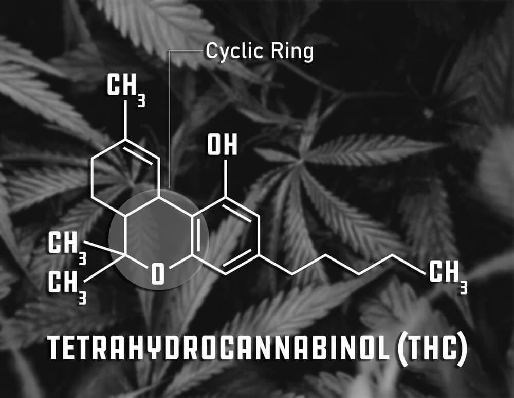 tetrahidrocanabinolquais doencas podem ser tratadas com ajuda THC