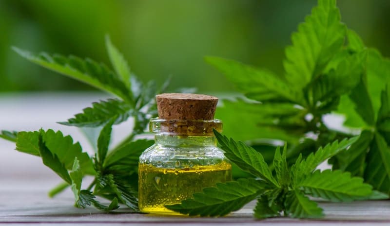 thc canabidiol remedio