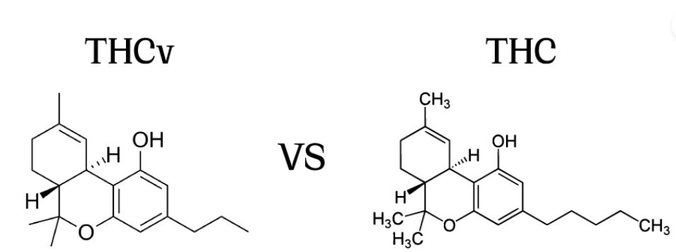 Estrutura molecular do THCV e do clássico THC.