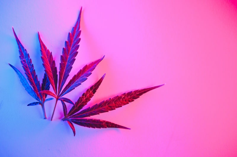 tratamentos para sindrome de ehlers danlos planta