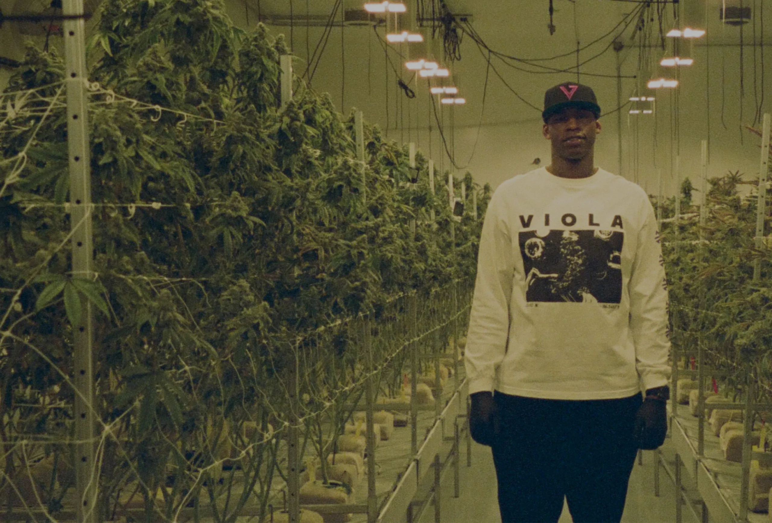 ex-jogadores da NBA investem na cannabis