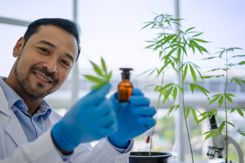 canabidiol para insonia