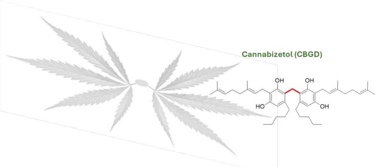 Estrutura química do canabizetol (CBGD)
