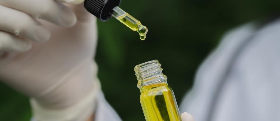 tratar alzheimer com cannabis