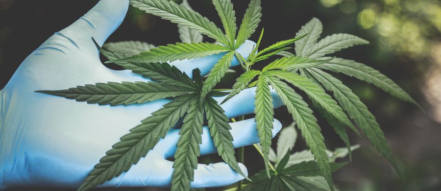 stress-ansiedade-trabalho