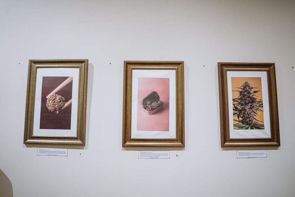 Alguns trabalhos do Jonas Tavares expostos no Museu Brasileiro da Cannabis