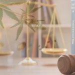 acesso-cannabis-justica