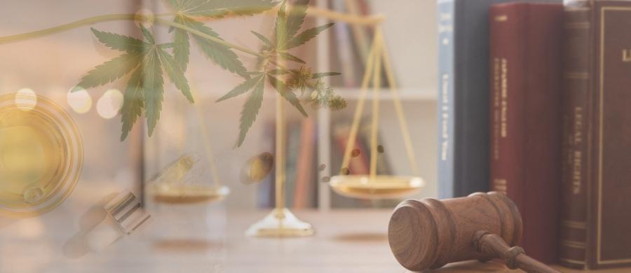 acesso-cannabis-justica