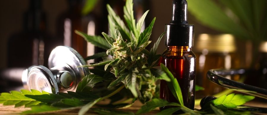 cannabis para veteranos de guerra