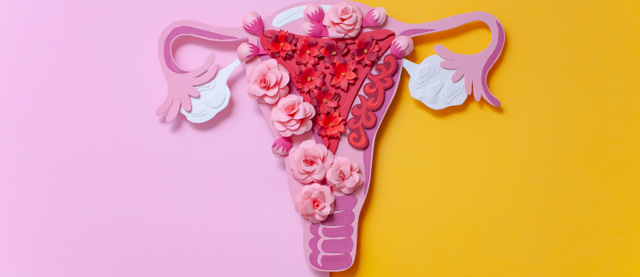 endometriose-saude-mulher