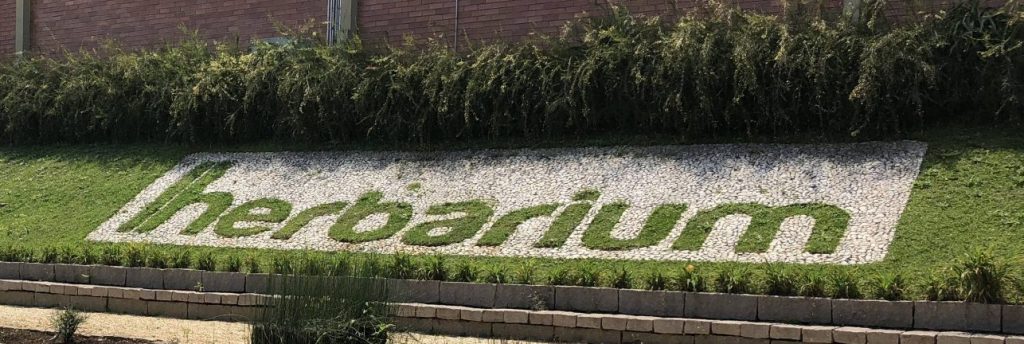 Herbarium anuncia que vai lançar produtos com Cannabis em 2023