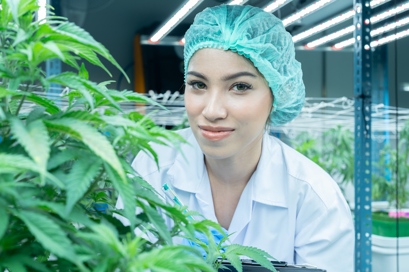 beneficios do efeito entourage