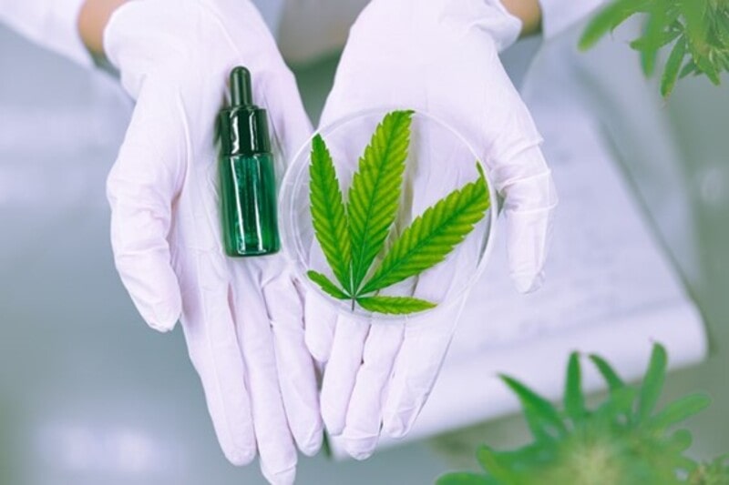 canabidiol para ansiedade pesquisa