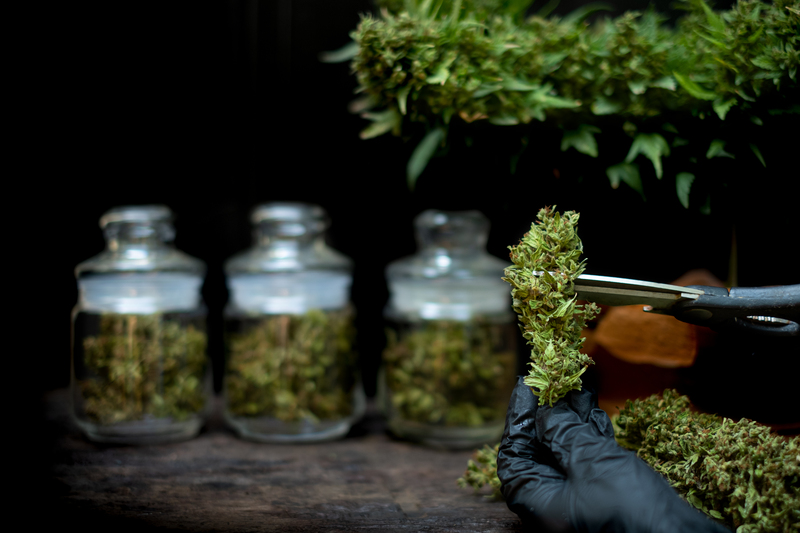 como ocorre o efeito entourage