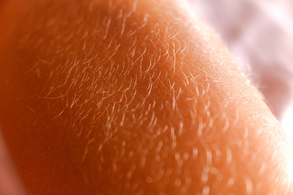 "Efeito entourage" na pele é similar ao da ingestão oral de produtos à base de Cannabis