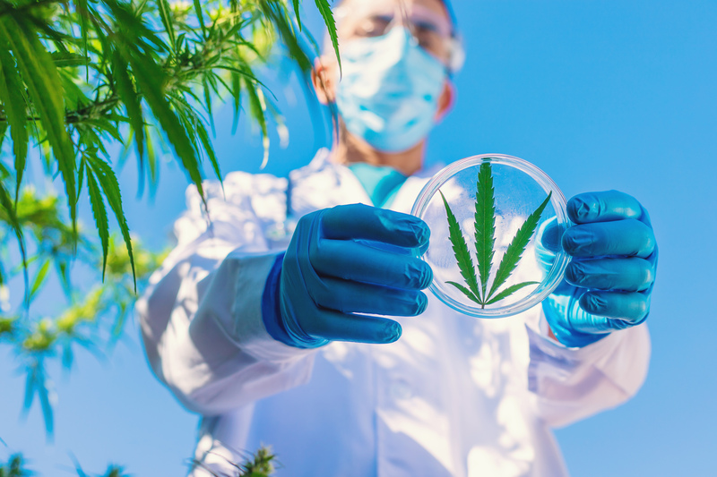 lista-de-doencas-tratadas-com-canabidiol