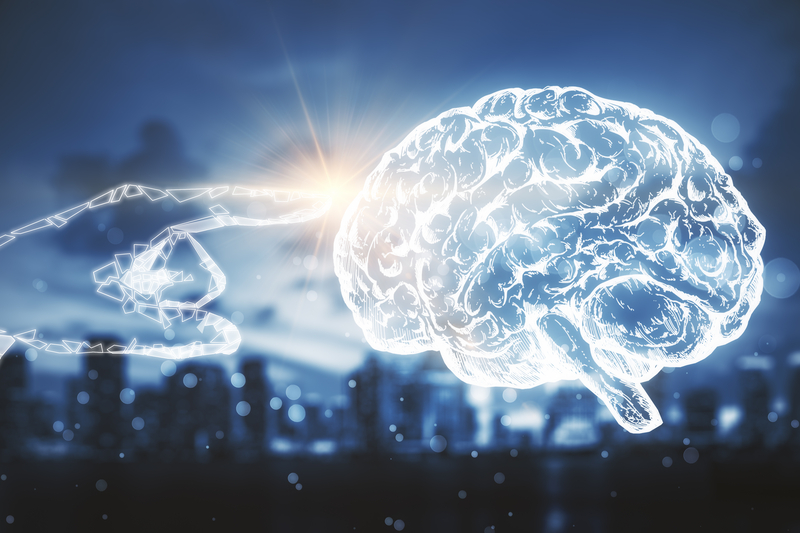 neuroprotecao como ocorre