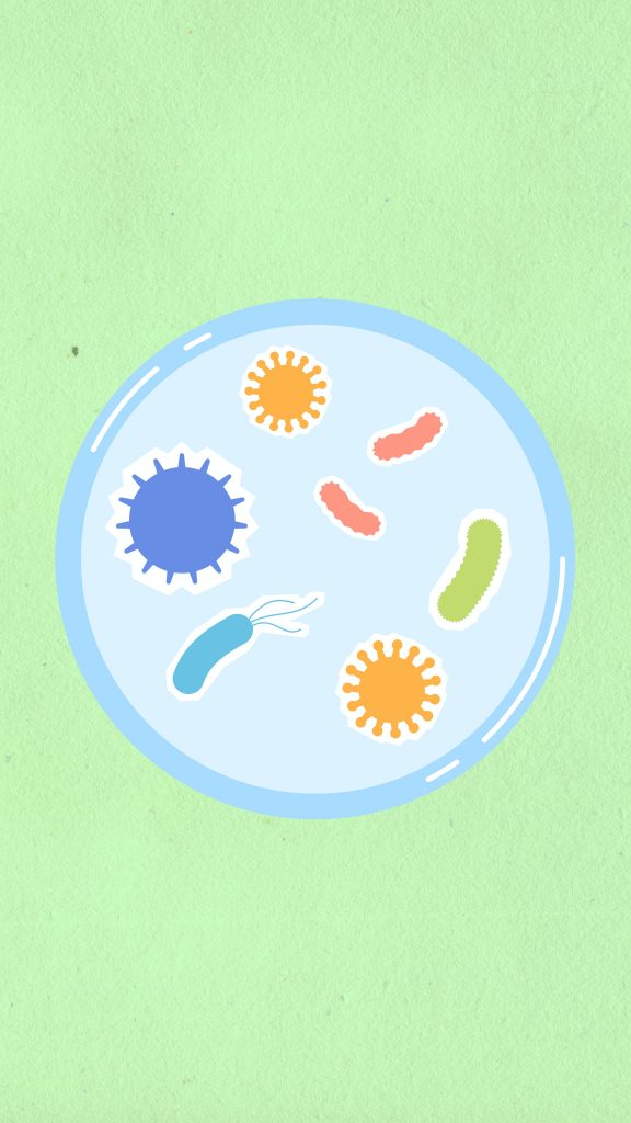 CBD é eficaz contra superbactérias