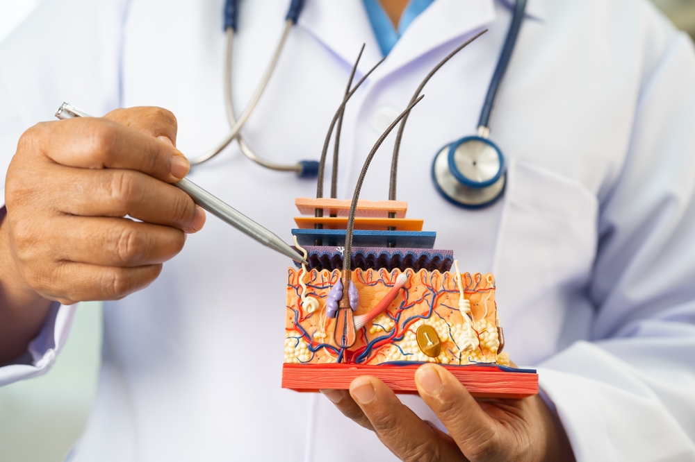 Canabidiol para a pele: o que dizem os estudos na dermatologia