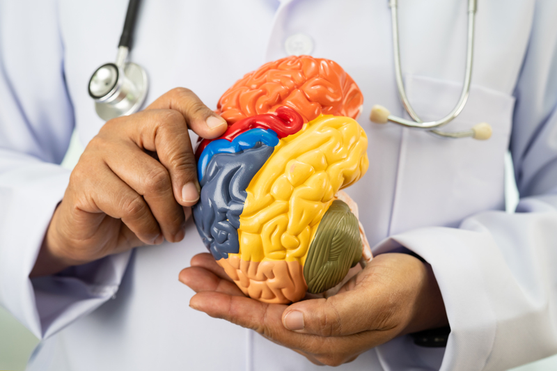 sintomas e fases do alzheimer