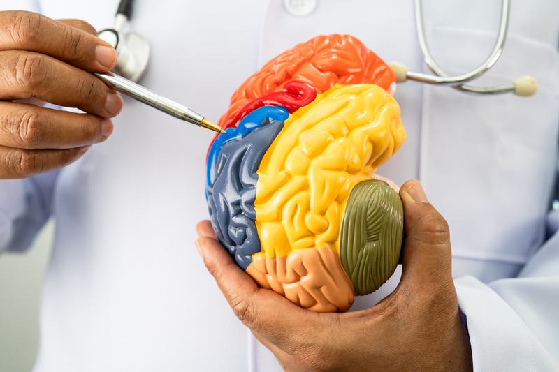 como ativar a neuroplasticidade