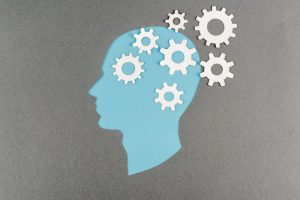 funcao cognitiva como se manifesta