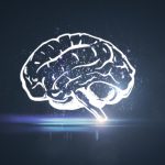 neuroplasticidade cerebral