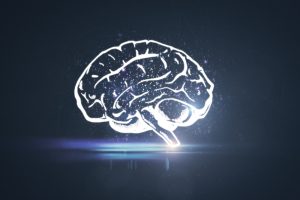 neuroplasticidade cerebral